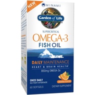 EPA/DHA Omega 3 Fish Oil - Minami Natural Brain Function, Heart and Mood Supplement, 60 Softgels