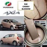 PERODUA AXIA R46/CHERRY BLOSSOM/CORAL PINK/CAT BANCUH/CAT KERETA/2K PAINT
