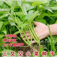 Hollow Vegetable Seeds Vegetables Vine Vegetables Empty Tube Vegetable Seeds