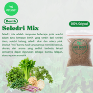 ( 100 Butir ) Benih Biji Seledri Mix | Seledri | Seledri Praha | Celery Pink | Seledri Batang