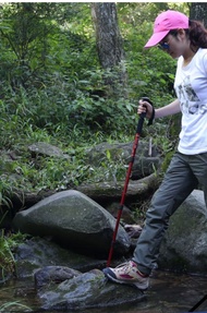 [HCM] Gậy leo núi cao cấp Desert fox gậy đi trekking gậy đi phượt thể thao dã ngoại Gậy đi bộ đường 