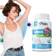 Echinacea Extract 1300 mg | 120 capsules | Immune Support/Vegan, Non-GMO, Gluten-Free