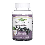 Nature's Way, Sambucus for Kids, Standardized Elderberry Gummies, 60 Gummies