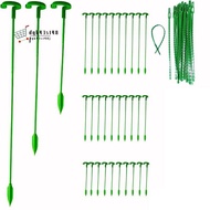 30 Pack Plant Support Stakes Garden Single Stemmed Plant Support Plant Stakes, Plant Prop, Plant Sticks