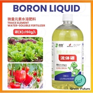 流体硼 Boron Liquid Trace Element Water-Souble Fertilizer 硼肥