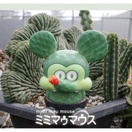 台灣限定 米米冒冒斯 mimi mau mouse  米老鼠 仙人掌🌵 非dimoo 蠑螈超獸 兔咩 花蓮鼠 molly