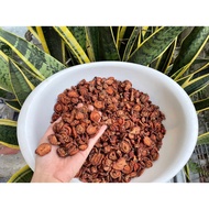 Yen Bai Specialty Dried Cat Apple, Soaked in Wine, Delicious and Nutritious Drink, Few Crumbs