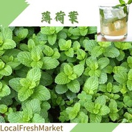 本地鮮食品 - 新鮮本地薄荷葉 (100G)