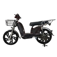 22 Inch Electric Bicycle City Bike Mountain Bike Carry Bike E Bike