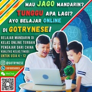 1 on 1 Online course Learning Chinese Go Trynese