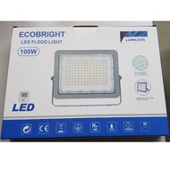 EcoBright 100w LED SMD Flood Light