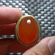 Bacan Obi Orange Jumbo Top Crystal Hq Bukan Bacan Doko