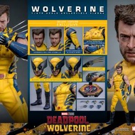 Hot Toys 死侍與狼人 Wolverine (Deluxe...