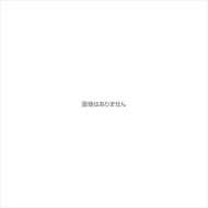キザクラ 17Kz GTR L 00 オレンジ
