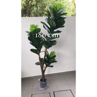 ARTIFICIAL FIDDLE FIG READY STOCK