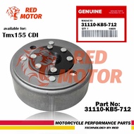 Motorcycle Parts TMX155 CDI MAGNETO ASSY