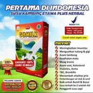 Susu Kambing Plus Herbal Daun Kelor susu kambing etawa gomilk/ milk prima Menjaga Imunitas Tubuh Kay