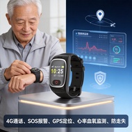 4G Elderly Smart Watch SOS Alarm Anti-Lost Health Monitoring Wholesale b