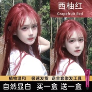 1250Readystock Grapefruit Red Hair Dye Cream Students Own Hair Dye Dark Night Red White Raspberry Re