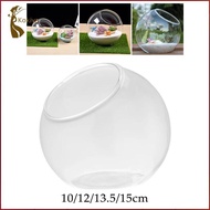 [kokiya] Slant Cut Bowl Vase Glass Terrarium Container Decorative Bevel Cut Plant Bowl Micro Landsca