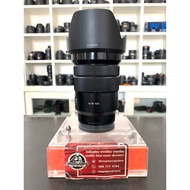 Sony E 18-105 mm F4 G OSS
