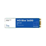 SSD M.2 SATA 1.TB (5Y) WD BLUE (WDS100T3B0B)