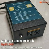 Best Electric voltage Stabilizer