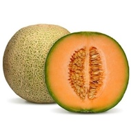 Rock Melon (2.2kg-2.5kg) - 1pc | Dr.fruit  岩瓜/ 网纹瓜/ 哈密瓜