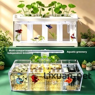 Local Company. Betta tank. Betta fish tank. 3 OR 4 compartment come with light and pump.exclude othe