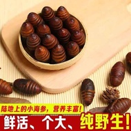 9792 People Collection Hamster Hamster Hamster Hamster Hamster Hamster Hamster Hamster Hamster Hamst