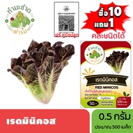 ทำมะชาดฟาร์ม (ซื้อ10แถม1) เมล็ดพันธุ์ เรดมินิคอส ขนาด0.5กรัม ประมาณ500เมล็ด RED MINICOS ROMAINE LETT