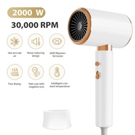 Toolip HOMEFISH Professional Hair Dryer Hot and Cold 2000W - F37