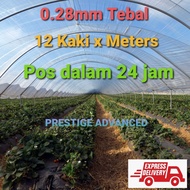 💥💥0.28mm💥💥 12 kaki / meter Greenhouse, Greenhouse Film, Greenhouse Film UV, UV Plastik , Plastic UV, Greenhouse Plastic