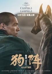 煥賣玩意＃【DVD】高畫質 狗陣Black Dog-彭于晏(國語發音 中文字幕)