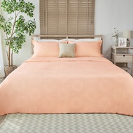 JUBILY ชุดผ้าปูที่นอน 5 ฟุต QUEEN (Set 3 ชิ้น ไม่รวมผ้านวมสำเร็จ) - HOLIDAY DELIGHT COLLECTION 460 S