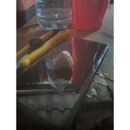 Pinang hokah,siap pasang