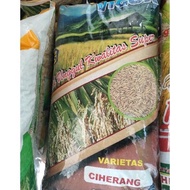 BIBIT PADI BENIH PADI CIHERANG PREMIUM 5 KG -TERLARIS