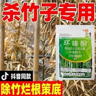 Open Wild Destruction Bamboo Specializing in Bush Root Powder Powerful Effect Cyclorophytone Granule
