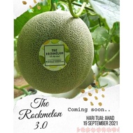 1 Biji Buah Rock Melon 2.5 - 3.0 Kg