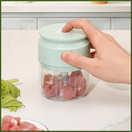 Electric Garlic Chopper USB Rechargeable Onion Masher Garlic Onion Veggie Processor for Home RV Kitc