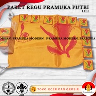 Lili team package (1 team flag + 10 team signs) Lili scout team savings package