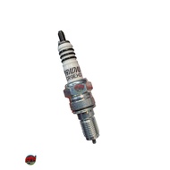 Spark Plug NGK Iridium IX Number CR9EHIX-9