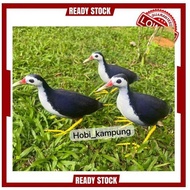 Patung Burung wak wak/Decoy wak wak memikat burung