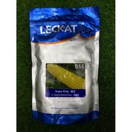 benih jagung manis leckat 516 sugar king ORIGINAL (500g)