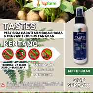 Obat Kentang Buat Akar Dan Layu / Obat Hama Trips Di Daun Kentang / Obat Buah Tanaman Kentang / Obat