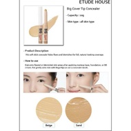 Etude house Big Cover Stick Concealer