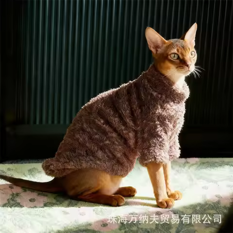 Abyssinian Cat Pullover Cationic Fleece Turtleneck Sweater Warm Autumn Winter Cozy Pet Clothes For C