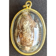 Biagae {Micron Gold Case} Luang Phor Maha SIla, Wat Phra That Muen Hin 2567 (Amulet Thai 泰国佛牌)