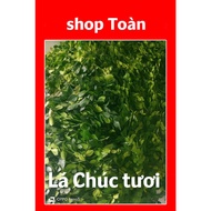 Fresh wish leaves, 100g Thai lemon leaves, lemon leaves number 8