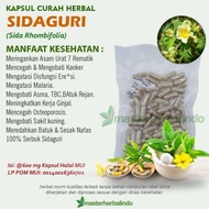 Kapsul Curah Herbal SIDAGURI 600mg Syaraf Asam Urat Bisul Jerawat Gigi